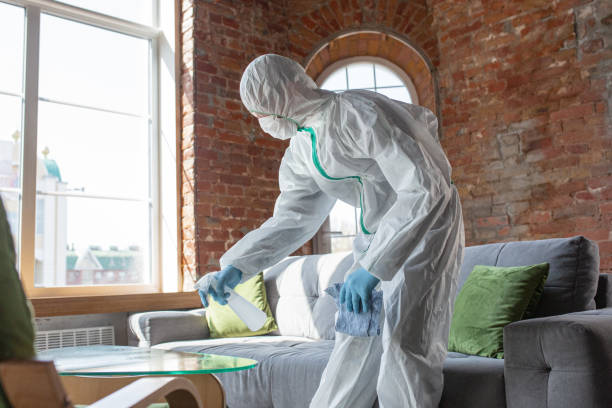 Best Environmental Consulting for Mold Prevention  in Pleasant View, TN