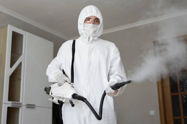 Best Residential Mold Inspection & Testing  in Pleasant View, TN